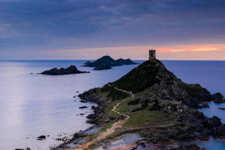 Corse