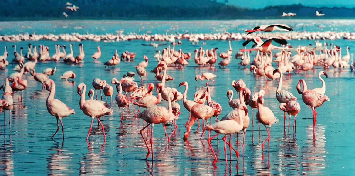 Kenya