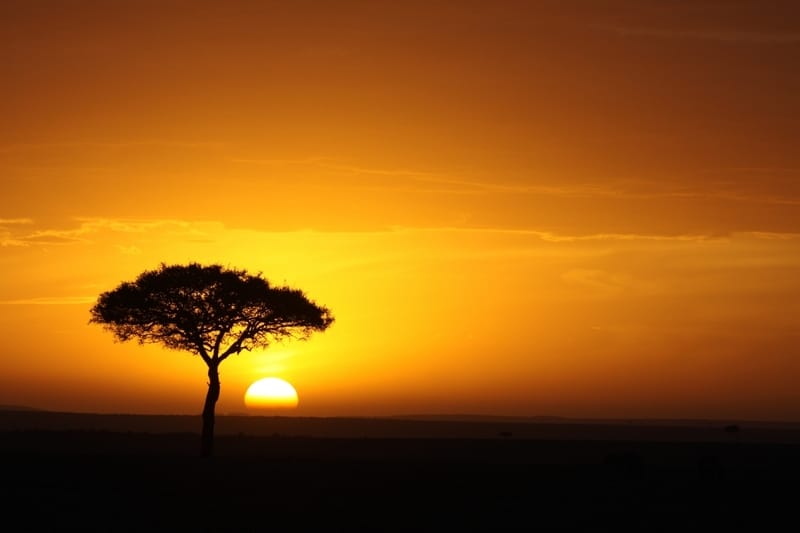 Couché de soleil au Kenya