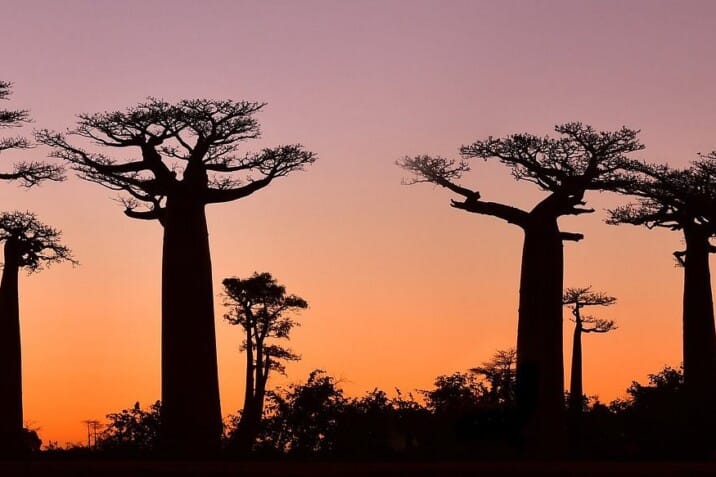 Madagascar