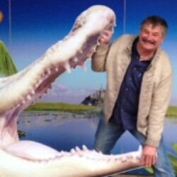 Photo de profil de Ricoux
