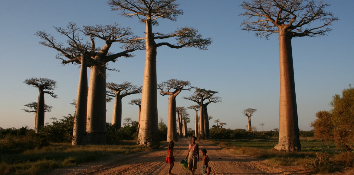 Madagascar