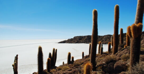 Isla del Pescado