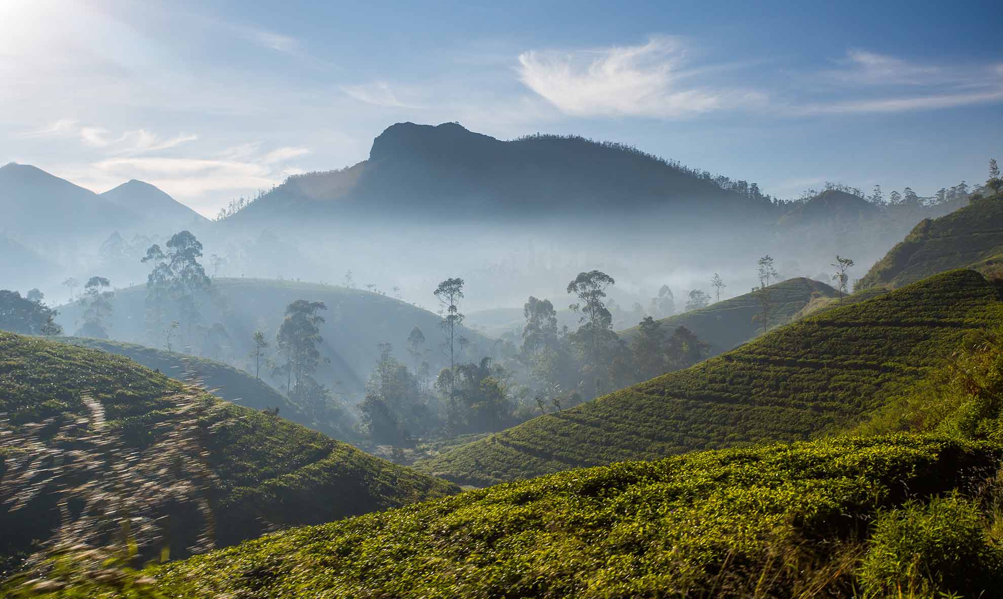 Voyage-Sri-Lanka-Samsara-3