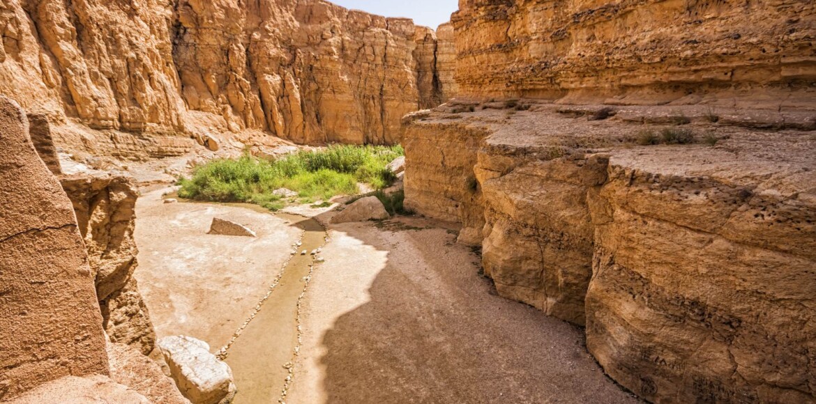 Canyon in the oasis of Tamerza, Tunisia