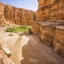 Canyon in the oasis of Tamerza, Tunisia